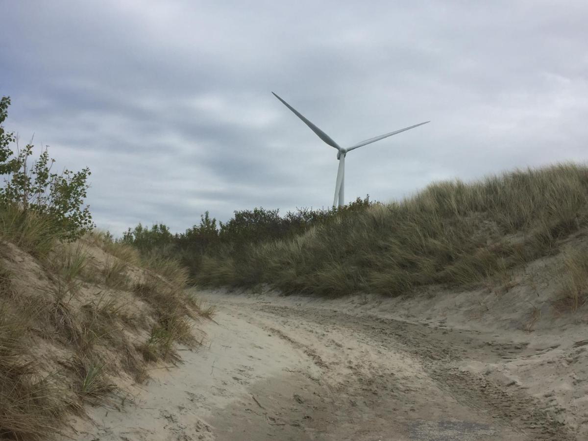 Olmenduin | Chalet 26 | Zeeland スロースケルケ エクステリア 写真
